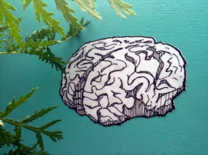 brain drawing